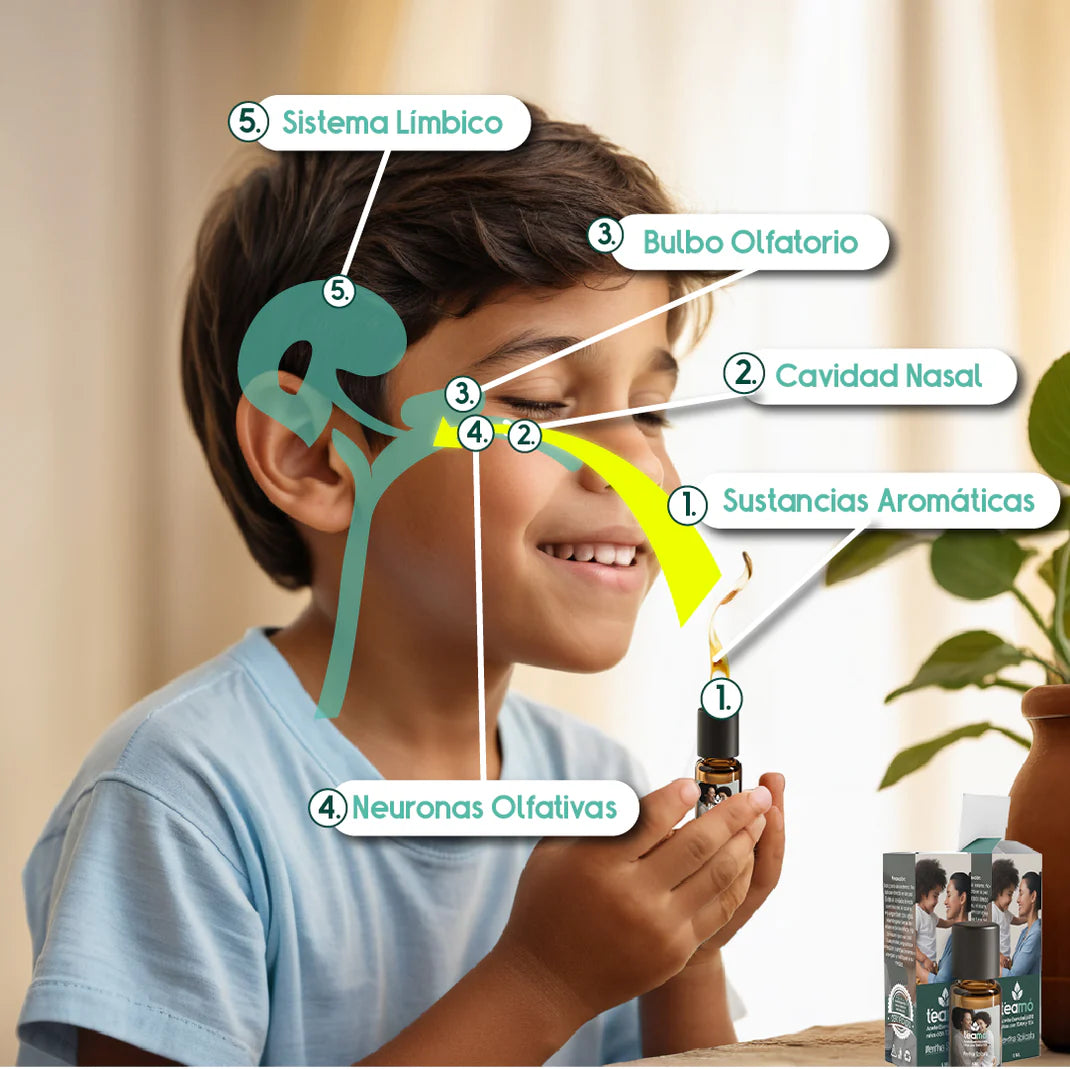 Aromaterapia Avanzada para niños con TDAH y Autismo
