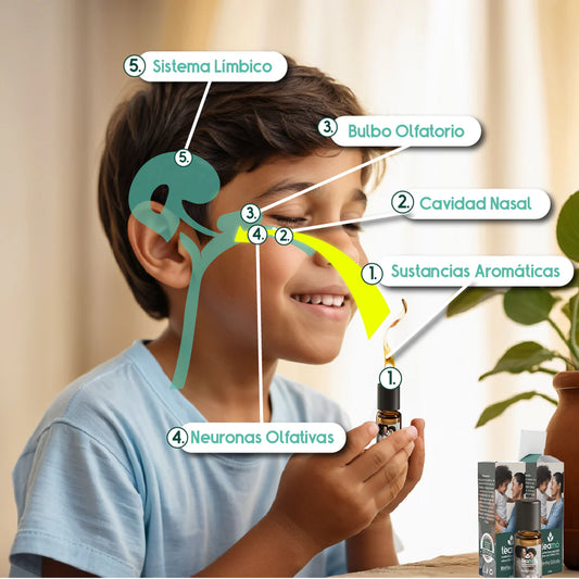 Aromaterapia Avanzada para niños con TDAH y Autismo